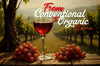 Organic vs conventional wine – red wine glass in vineyard with grapes, symbolizing the difference between organic and traditional winemaking.