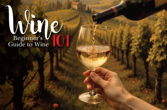 A glass of white wine being poured in a vineyard at sunset, with the text “Beginner’s Guide to Wine 101” — perfect for those starting to learn about wine.
