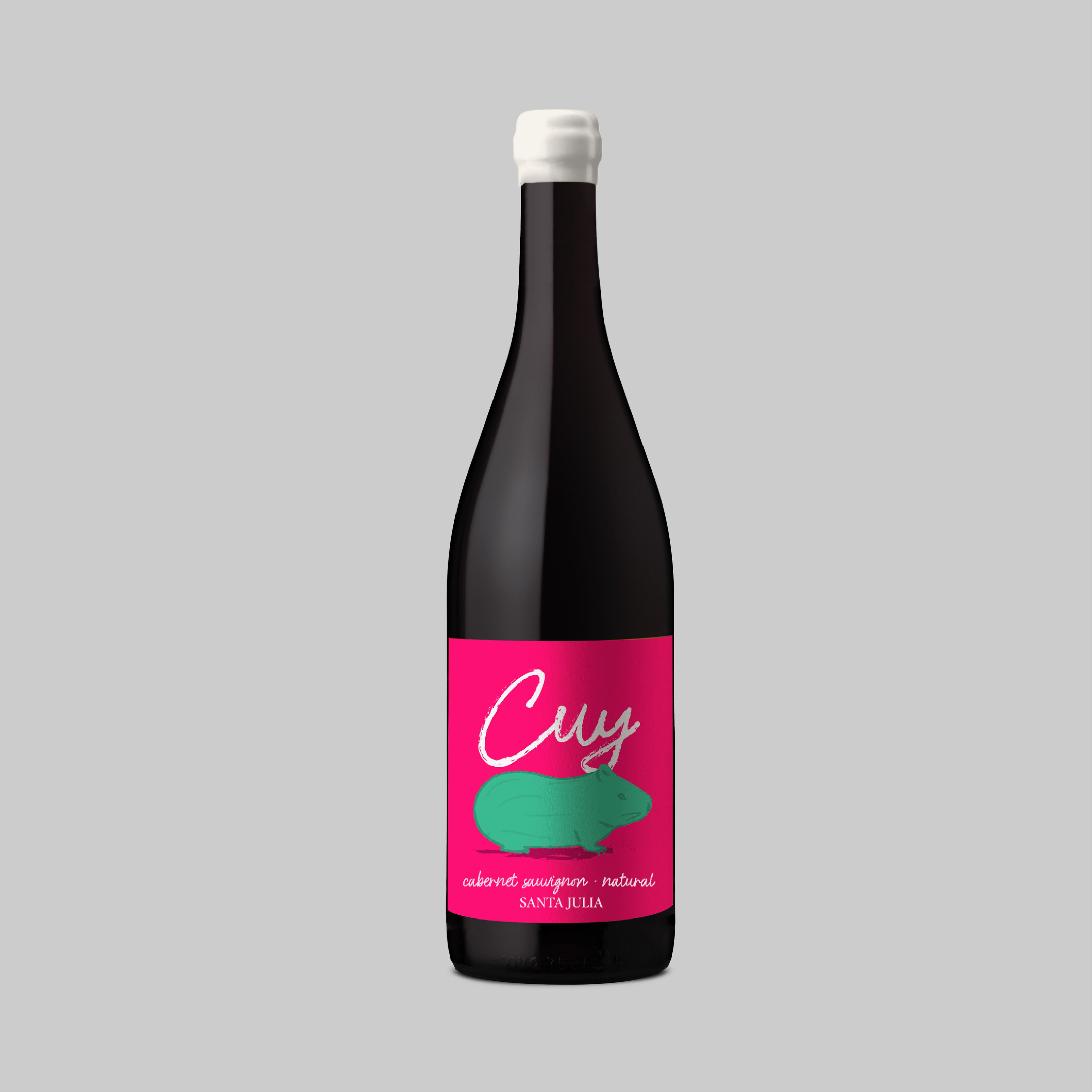 Cuy Cabernet Sauvignon Natural Wine 2025 750ml 13.5% | TIME2DRINK