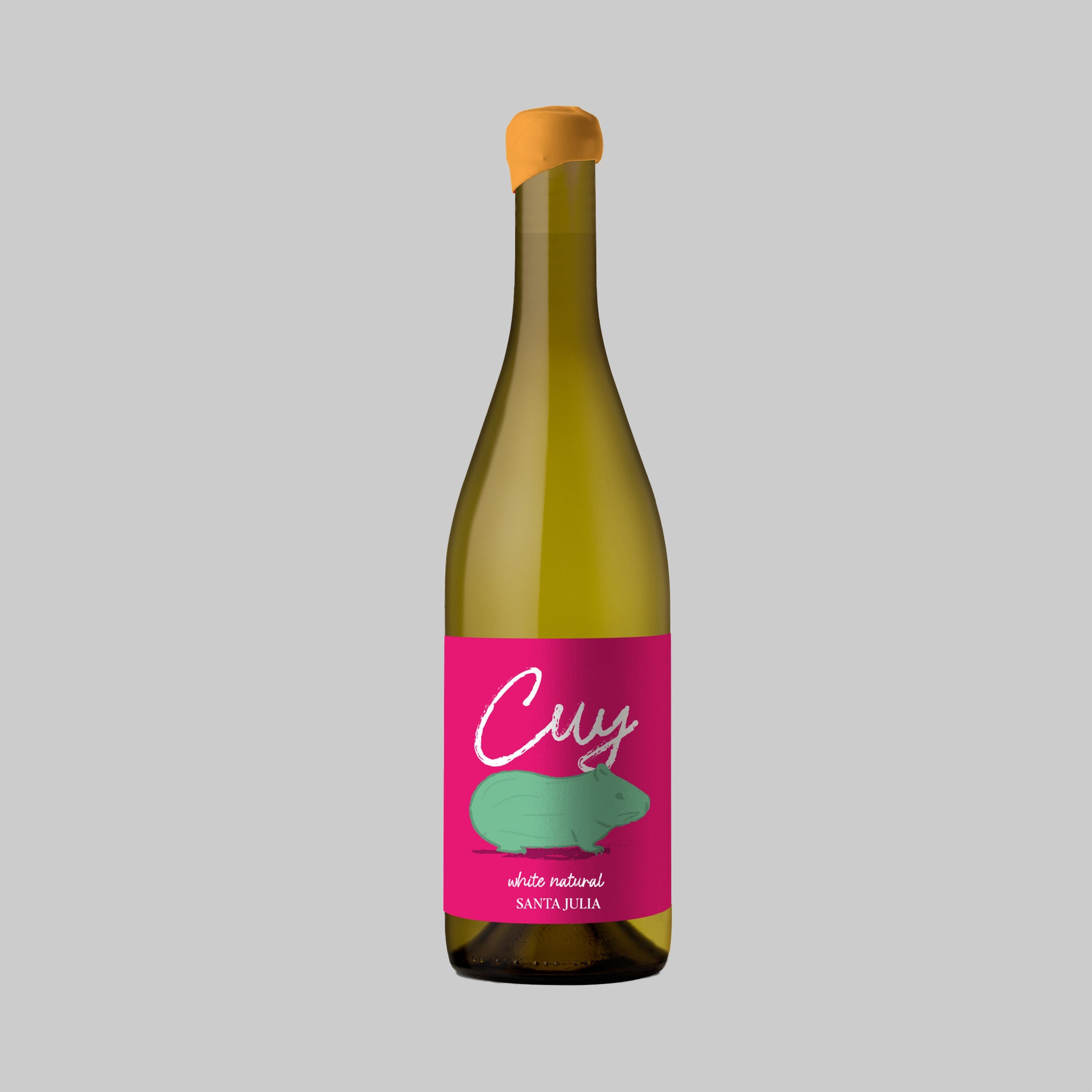 Cuy Torrentes White Natural Wine 2025 750ml 13.0% | TIME2DRINK