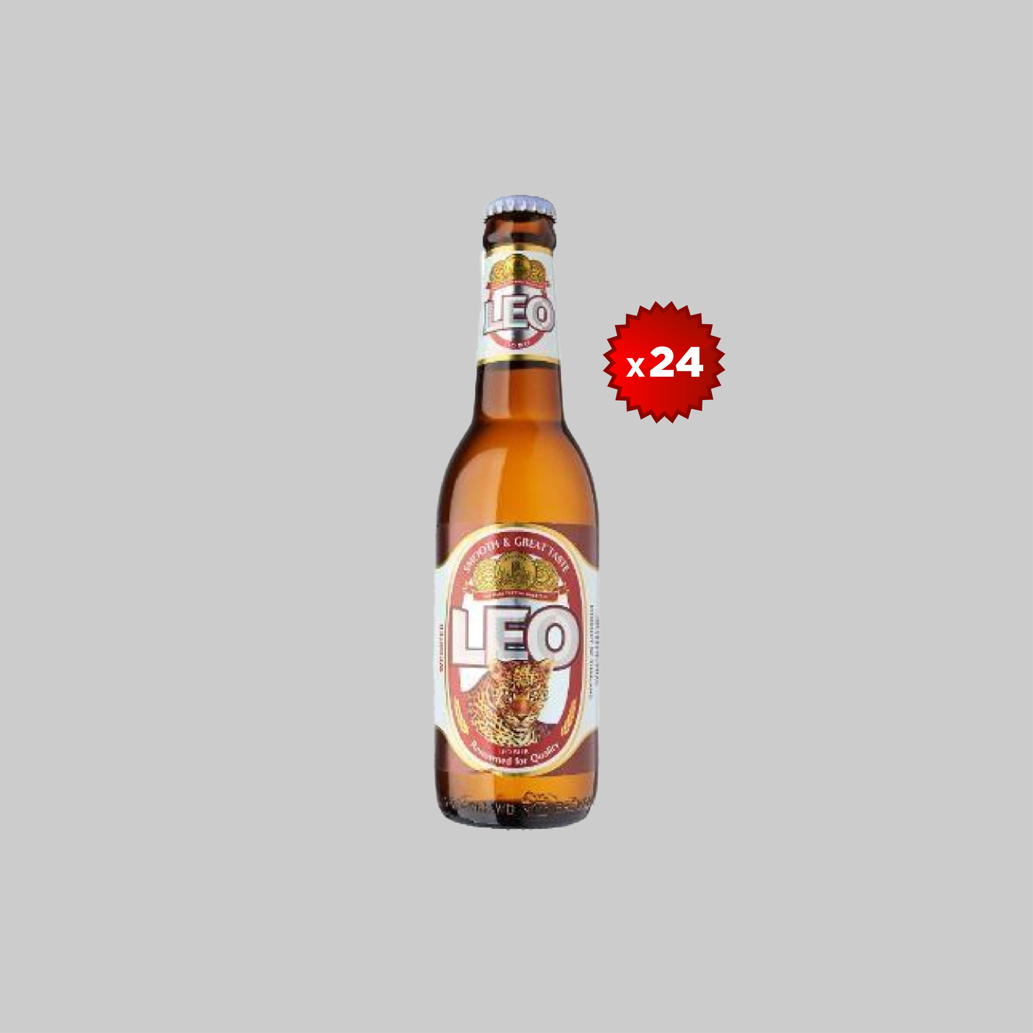Leo Small Bottle 24x320ml 5.0% | Time2Drink